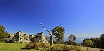 Studios D'Hebergement Du Domaine * Saint-Irenee